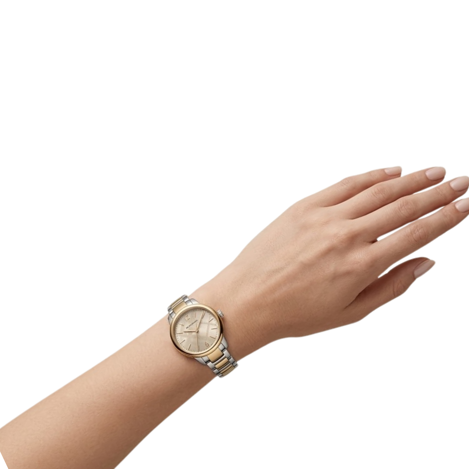 Two-Tone Steel - Watch