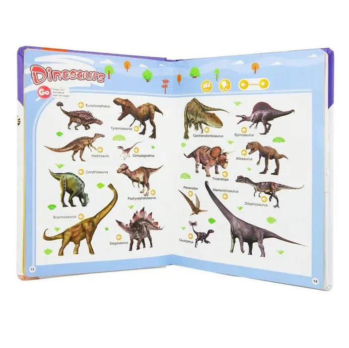 English Word & Sound Educational Book